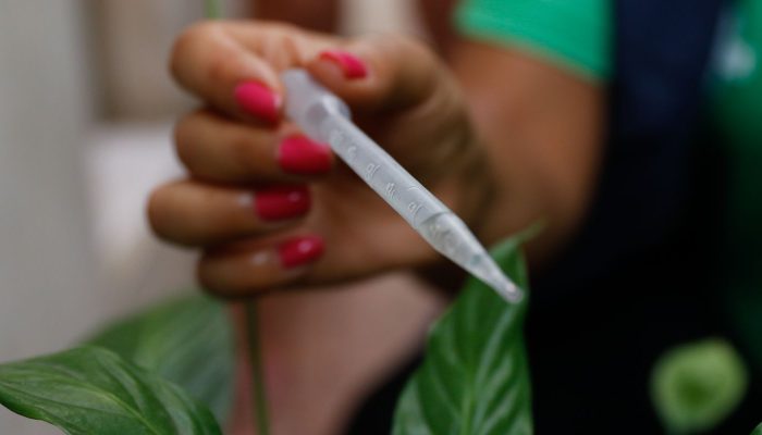 20230330100906_mg_7113.jpg 20230330100906_mg_7113.jpg