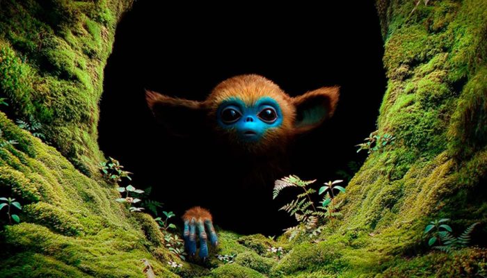 22202648806042.jpg 22202648806042.jpg