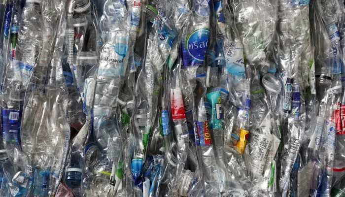 28966873.webp.webp 28966873.webp.webp