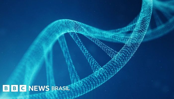 2a9c9440-523e-11f0-a2ff-17a82c2e8bc4.jpg 2a9c9440-523e-11f0-a2ff-17a82c2e8bc4.jpg