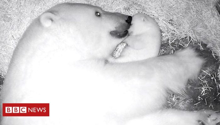 2e7abca0-dcbd-11ef-a2f9-6d017a0a3809.jpg 2e7abca0-dcbd-11ef-a2f9-6d017a0a3809.jpg