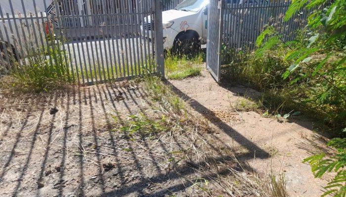 315dbe19192678329fcf087866865605-1.jpeg 315dbe19192678329fcf087866865605-1.jpeg