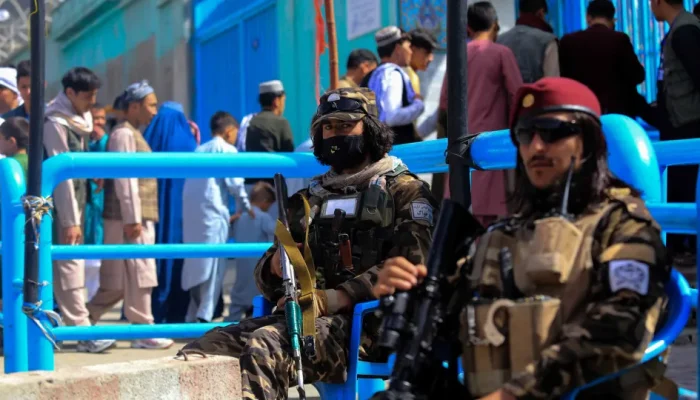 36636661.webp.webp 36636661.webp.webp