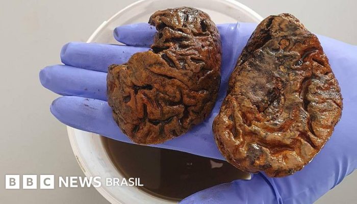 399a48b0-7602-11f0-89d7-e34a121f012d.jpg 399a48b0-7602-11f0-89d7-e34a121f012d.jpg