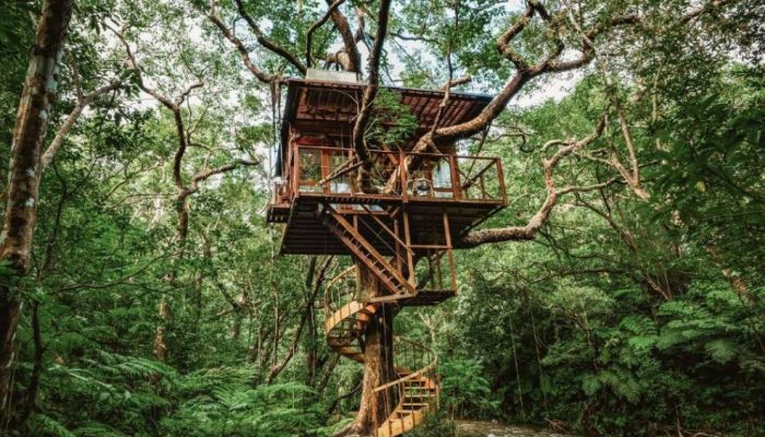 425088080.jpeg 425088080.jpeg