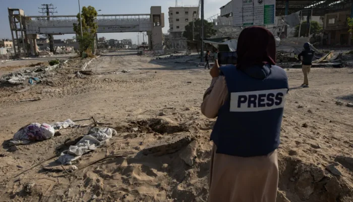 43674305.webp.webp 43674305.webp.webp