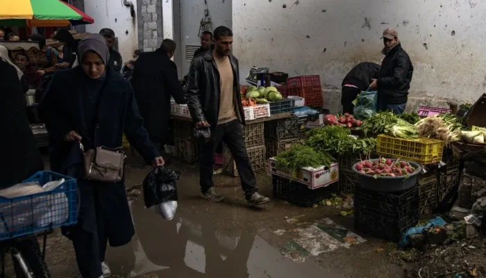 44504261.webp.webp 44504261.webp.webp