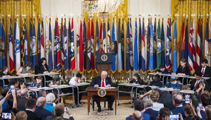 44625173.webp.webp 44625173.webp.webp