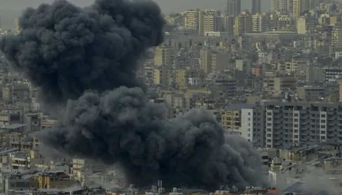 44673209.webp.webp 44673209.webp.webp