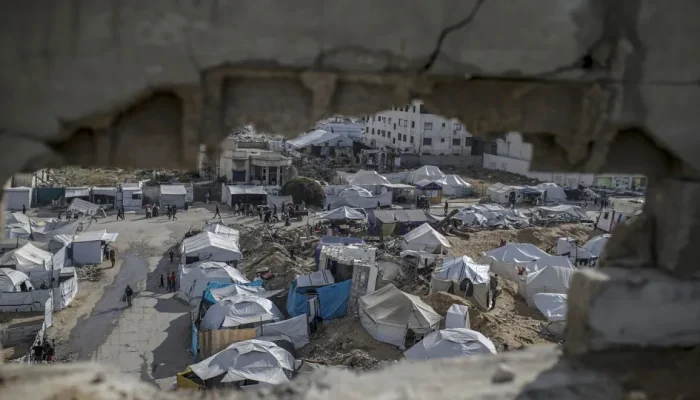 44875287.webp.webp 44875287.webp.webp