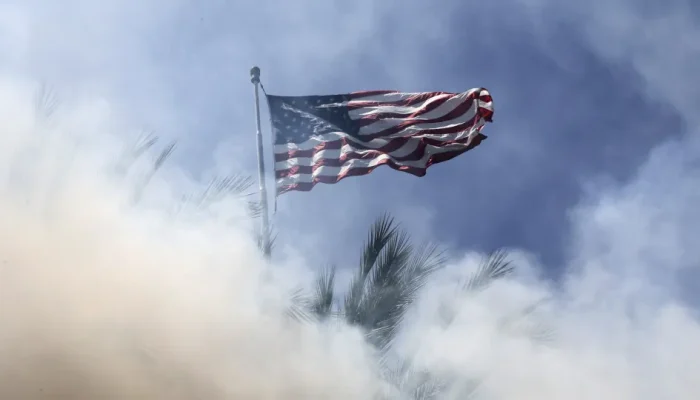 45116686.webp.webp 45116686.webp.webp