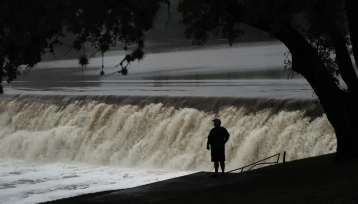 45276044.webp.webp 45276044.webp.webp