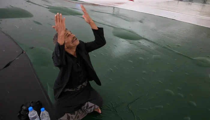 45423485.webp.webp 45423485.webp.webp