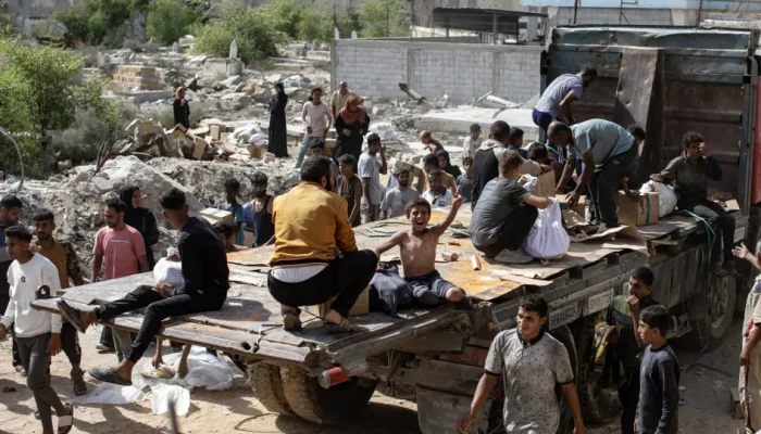 45830190.webp.webp 45830190.webp.webp