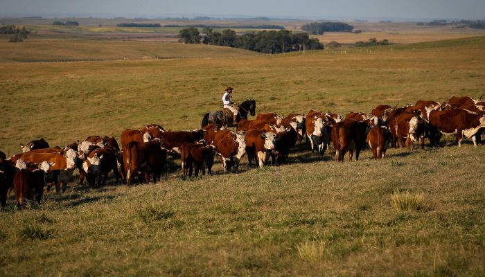 46621990055_73cd2ec28a_6k.jpg 46621990055_73cd2ec28a_6k.jpg