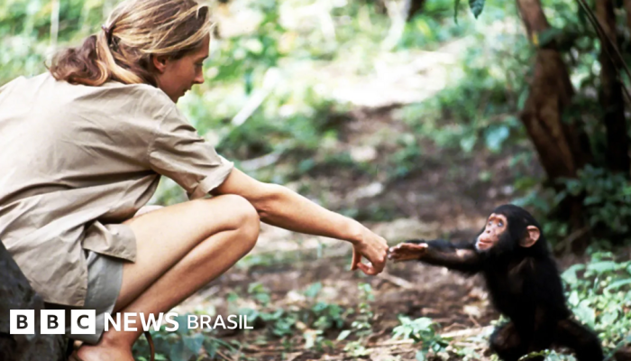 4b46a460-411a-11ee-8547-399bfdd90745.png 4b46a460-411a-11ee-8547-399bfdd90745.png