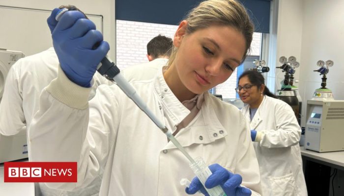 4c5c6790-e3fd-11ef-a834-3f32f698fa46.jpg 4c5c6790-e3fd-11ef-a834-3f32f698fa46.jpg