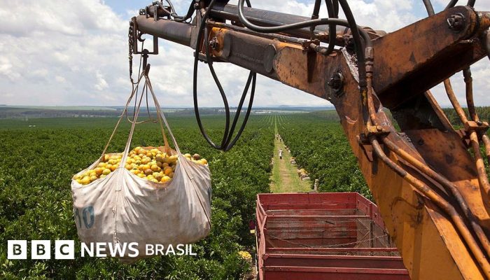 4cf80df0-5da4-11f0-960d-e9f1088a89fe.jpg 4cf80df0-5da4-11f0-960d-e9f1088a89fe.jpg