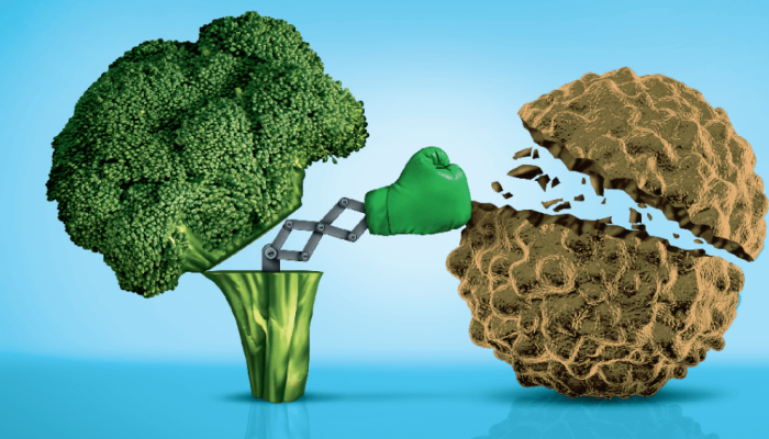 510-alimentacao-cancer.png 510-alimentacao-cancer.png