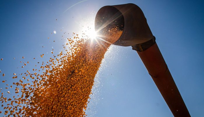 51324591613_94095258f1_k.jpg 51324591613_94095258f1_k.jpg