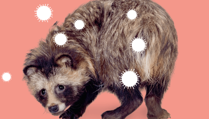 514-ecossistema.png 514-ecossistema.png