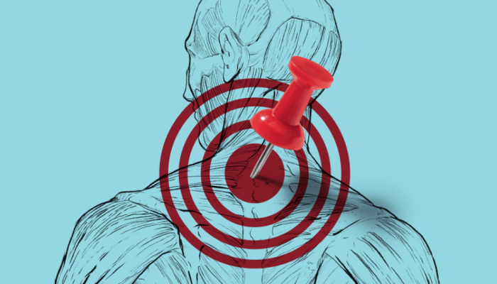 516-ao-leitor-dor.png 516-ao-leitor-dor.png