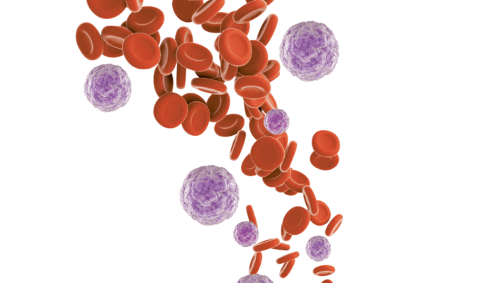 518-medicina-leucemia.png 518-medicina-leucemia.png