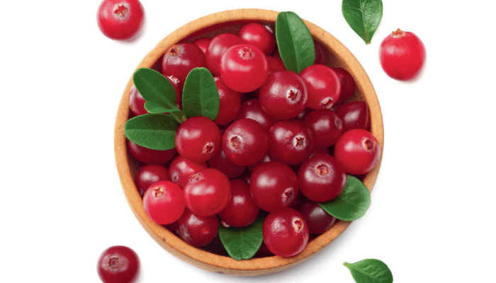 522-alimentacao-cranberry.png