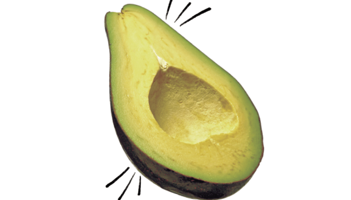 523-alimentacao-abacate.png