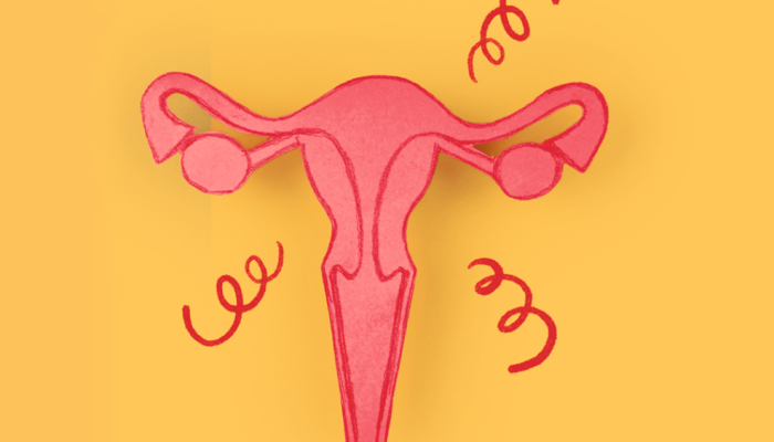 525-autoestima-hormonios-utero.png