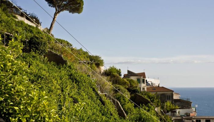 54743173906_0112332dff_k.jpg 54743173906_0112332dff_k.jpg