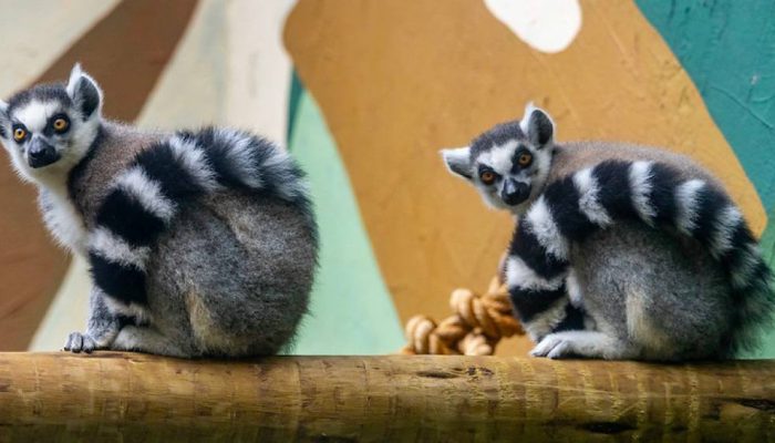 54842988924-9497a0f1fe-c-1-.jpg 54842988924-9497a0f1fe-c-1-.jpg