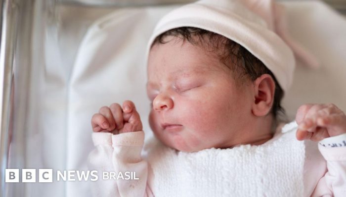 5628d0e0-4e49-11f0-9ab5-fdee266c7472.jpg 5628d0e0-4e49-11f0-9ab5-fdee266c7472.jpg