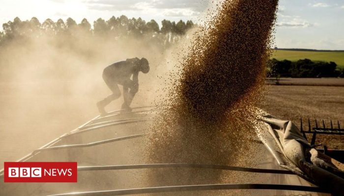 56716de0-3cca-11f0-8509-61bfffcaa038.jpg 56716de0-3cca-11f0-8509-61bfffcaa038.jpg