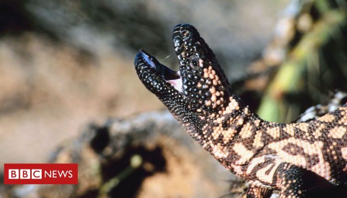 5d9385f0-f886-11ef-8c03-7dfdbeeb2526.jpg 5d9385f0-f886-11ef-8c03-7dfdbeeb2526.jpg