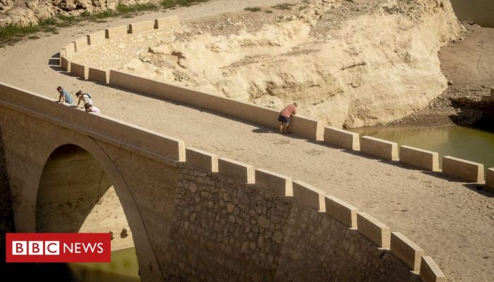 6032b0f0-e4f5-11ef-bd1b-d536627785f2.jpg 6032b0f0-e4f5-11ef-bd1b-d536627785f2.jpg