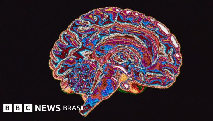 61dedcd0-5660-11f0-b1cd-8721735d6041.jpg 61dedcd0-5660-11f0-b1cd-8721735d6041.jpg