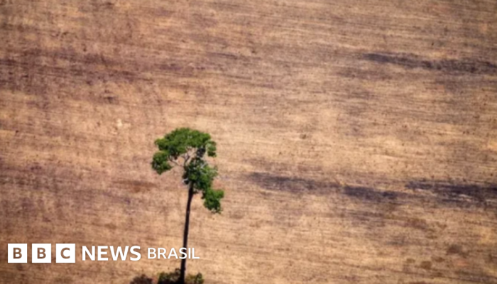 620351b0-7491-11f0-a20f-3b86f375586a.png 620351b0-7491-11f0-a20f-3b86f375586a.png