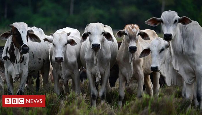 6441fd50-d4ff-11ef-bd01-a14953f7c4c1.jpg 6441fd50-d4ff-11ef-bd01-a14953f7c4c1.jpg