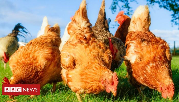 6556a250-04ba-11f0-97d3-37df2b293ed1.jpg 6556a250-04ba-11f0-97d3-37df2b293ed1.jpg