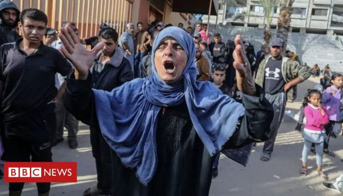 6613dc70-3ed1-11f0-b6e6-4ddb91039da1.jpg 6613dc70-3ed1-11f0-b6e6-4ddb91039da1.jpg