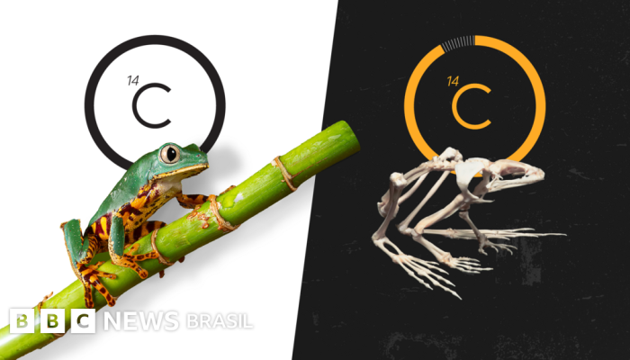 6769bdf0-7e97-11f0-83cc-c5da98c419b8.png 6769bdf0-7e97-11f0-83cc-c5da98c419b8.png