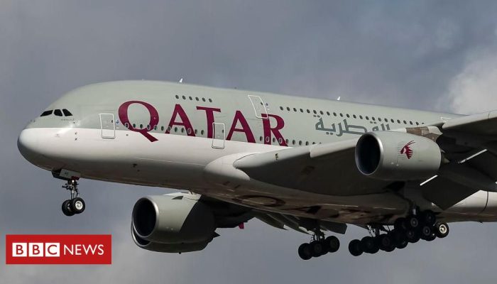 69be68a0-f3f8-11ef-8c03-7dfdbeeb2526.jpg 69be68a0-f3f8-11ef-8c03-7dfdbeeb2526.jpg