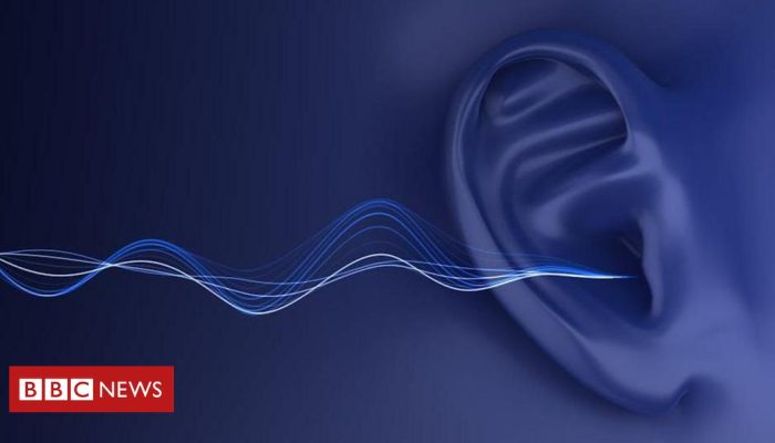 6fa7fb10-0a95-11f0-9e6b-6b7d77b872a5.jpg 6fa7fb10-0a95-11f0-9e6b-6b7d77b872a5.jpg