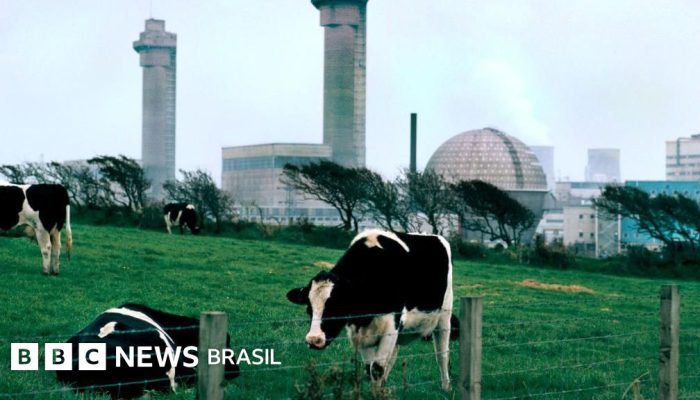 70572960-0fd0-11f0-9f8d-f125b11f3e53.jpg 70572960-0fd0-11f0-9f8d-f125b11f3e53.jpg