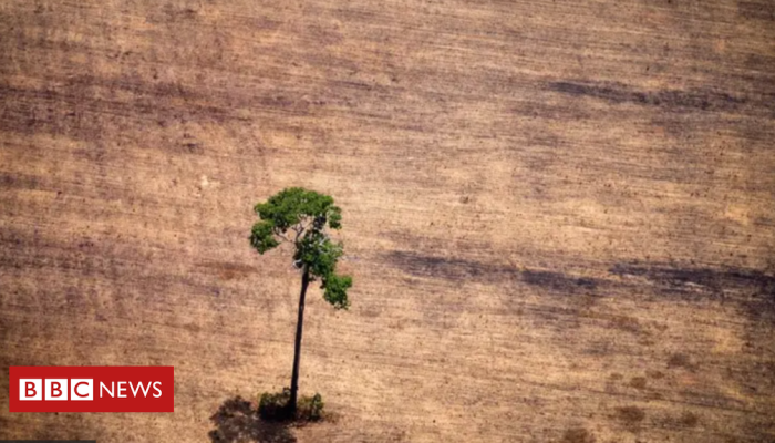 81662f40-35d1-11f0-96c3-cf669419a2b0.png 81662f40-35d1-11f0-96c3-cf669419a2b0.png