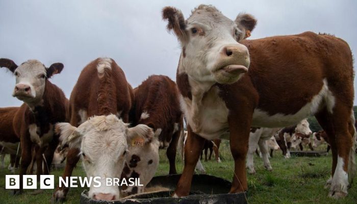 878ee8f0-5442-11f0-aa04-63f097c9ce41.jpg 878ee8f0-5442-11f0-aa04-63f097c9ce41.jpg