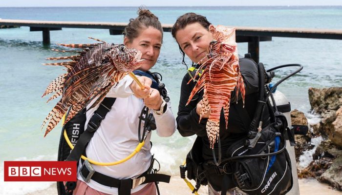 8932c2a0-00f8-11f0-b50e-9d086302645f.jpg 8932c2a0-00f8-11f0-b50e-9d086302645f.jpg