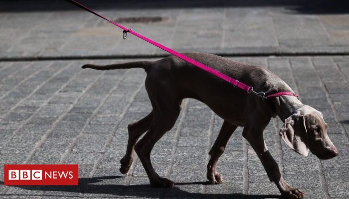 8eb06400-4520-11f0-835b-310c7b938e84.jpg 8eb06400-4520-11f0-835b-310c7b938e84.jpg