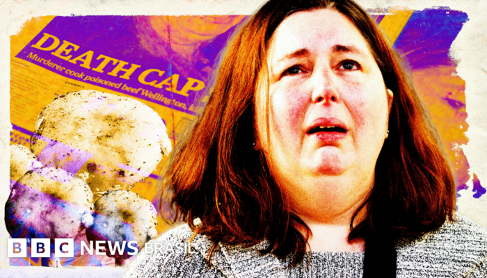 946cda10-5e7d-11f0-a40e-a1af2950b220.png 946cda10-5e7d-11f0-a40e-a1af2950b220.png